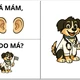 Já mám, kdo má? – Lidské tělo (mini verze zdarma) 5