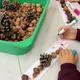 Řady a počítání s přírodninami - podzimní hravá matematika 4