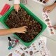 Řady a počítání s přírodninami - podzimní hravá matematika 5
