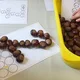 Čísla z kaštanů - podzimní hravá matematika 3