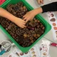 Řady a počítání s přírodninami - podzimní hravá matematika 2