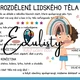 Naše tělo – výukové plakáty, karty a pracovní listy 4