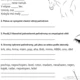 PALINDROMY 3