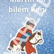 Svatý Martin - Martin na bílém koni 2