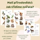 Malí přírodovědci: Jak třídíme zvířata? Obratlovci a bezobratlí 2