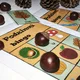 Autumn English Words - pexeso, kartičky, bingo 5
