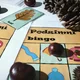 Autumn English Words - pexeso, kartičky, bingo 6