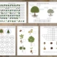 Stromy - Pracovní listy 4