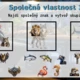 Algoritmické myšlení - interaktivní úniková hra 6