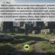 Slovní druhy - online hra na podstatná a přídavná jména 4