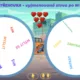 Vyjmenovaná slova po B, L, M - interaktivní bohatý kvíz a hry 9