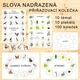 Slova nadřazená a podřazená 4