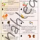 SLOVNÍ ÚLOHY - PODZIM (počítání do 100) 3