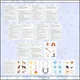 Svatý Martin: týdenní příprava do MŠ 3