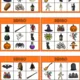 Halloween - bingo 3