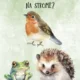 🌳 LESNÍ CESTIČKA TAJEMSTVÍ PŘÍRODY 🍄 3