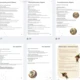 Podzim pod lupou – podzim, příroda, přípravy se skřítky 4