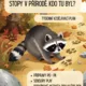 Stopy v přírodě – lesní zvířátka, podzim/zima 2