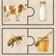 🚜 Na statku – poznáváme, třídíme a hrajeme si 🌾🐄🐔 2