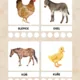 🚜 Na statku – poznáváme, třídíme a hrajeme si 🌾🐄🐔 3