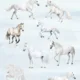 Na bílém koni se svatým Martinem ❄️🐎 5