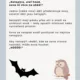 Halloween - pohybové hraní  2