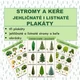 STROMY A KEŘE - PLAKÁTY 2