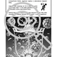 CHEMIE: Nástěnka - Chemie lidského těla 4