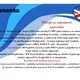 Balíček aktivit o USA (a jazykové puzzle o zajímavostech) B1 2