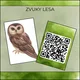 ZVUKY LESA: obrázky s QR kódy, aktivity 4