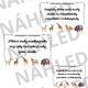 Sudokopytníci, lichokopytníci (40 oboustranných karet ANO/NE) 2