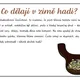 ZVÍŘÁTKA V ZIMĚ – výukové karty 2