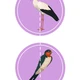 Čáp Jenda odlétá s kamarády do teplých krajin - Pro nejmenší 🐦☀️ 3