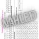 Valentine's Day - Challenge Race 5
