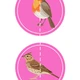 Čáp Jenda odlétá s kamarády do teplých krajin - Pro nejmenší 🐦☀️ 4