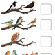 Čáp Jenda odlétá s kamarády do teplých krajin - Pro nejmenší 🐦☀️ 5