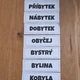 Vyjmenovaná slova - přehledy (3 varianty) 6