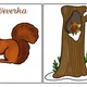 ZVÍŘÁTKA V ZIMĚ – výukové karty 5