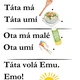 Čtení - T  3