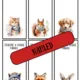 Tvoření záložek - bookmarks - záložky 2