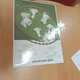 Listopadové svátky a pranostiky (včetně sv. Martina)  3