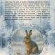 🎄 Adventní kalendář s našimi zvířátky 🎄 2