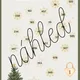 ADVENTNÍ KALENDÁŘ - 9. ročník - opakování učiva 3