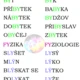 VYJMENOVANÁ SLOVA NA TABULI (nástěnku) 5
