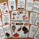 Thanksgiving - velký set aktivit 10