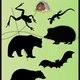 Živočichové v lese a u vody 🐗🐺🦇🦎🦉 4