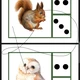 Zvířátka v lese 🌲🦔🦨🦝🐿️🌲 3