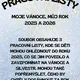Pracovní listy- Moje Vánoce, Silvestr, rok 2025 a 2026 2