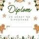 VÁNOČNÍ ŠIPKOVANÁ - školní družina 5
