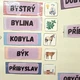 Vyjmenovaná slova po B – karty s obrázky 5